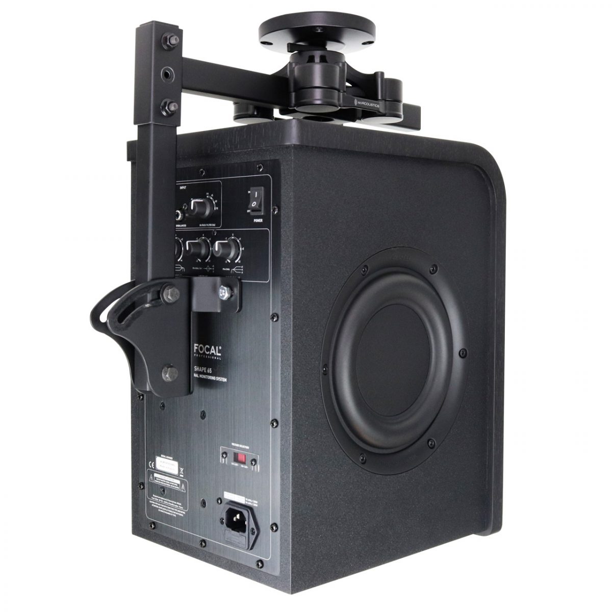 V120-Focal-Shape65-ceiling-back-transparent